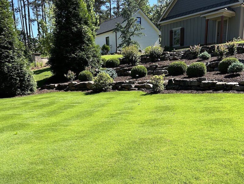 Clean yard and landscape area