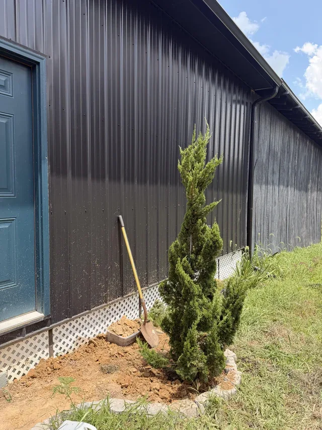 Side-yard planting and bed cleanup example